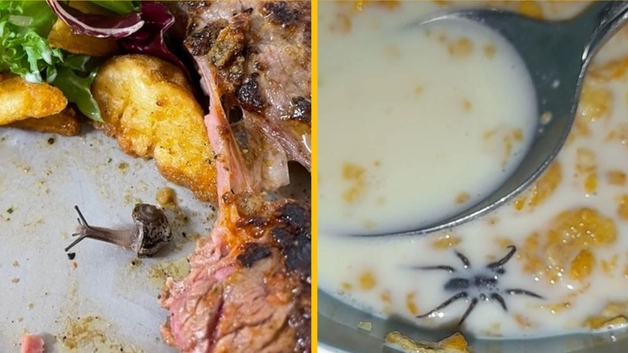 Týmto ľuďom sa deň vymkol spod kontroly, no nestratili kvôli tomu dobrú náladu