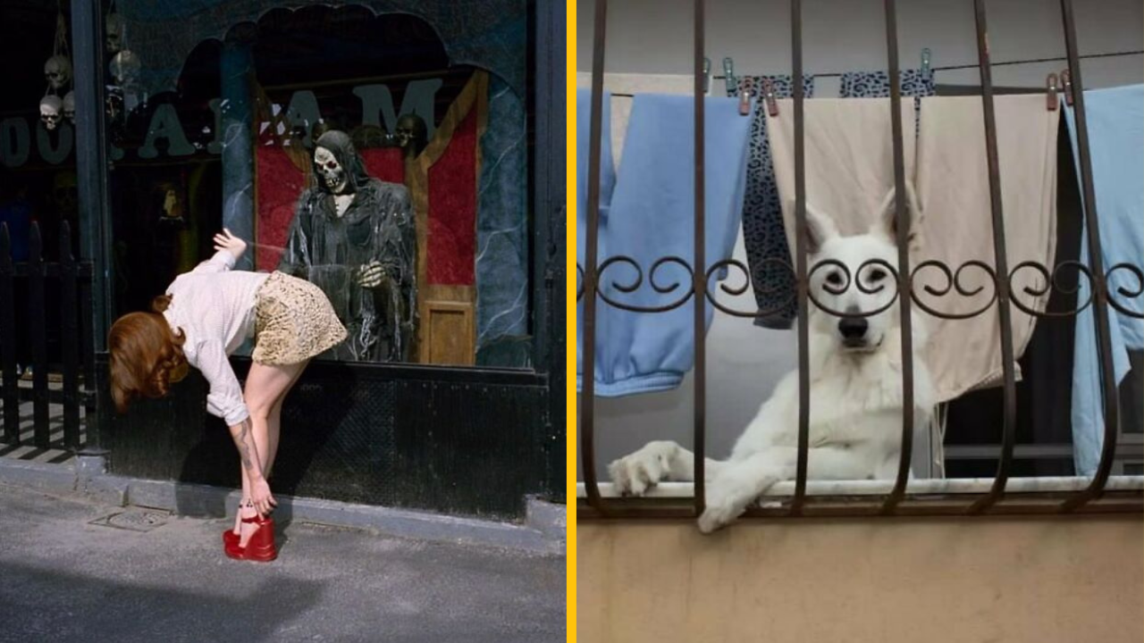 10 fotografií, ktoré boli zachytené v tom správnom čase na tom správnom mieste