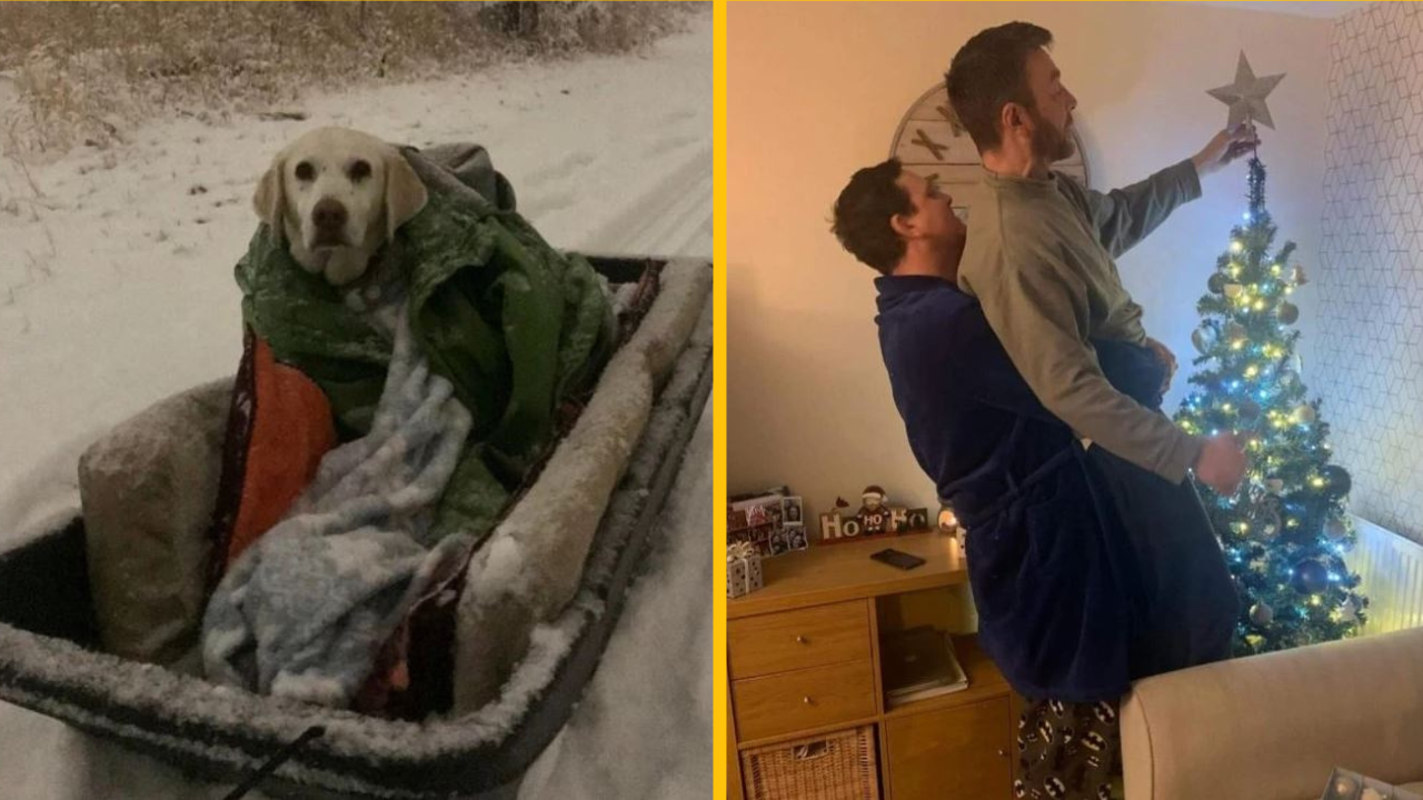 Fotografie, ktoré vám dodajú všetky pocity naraz