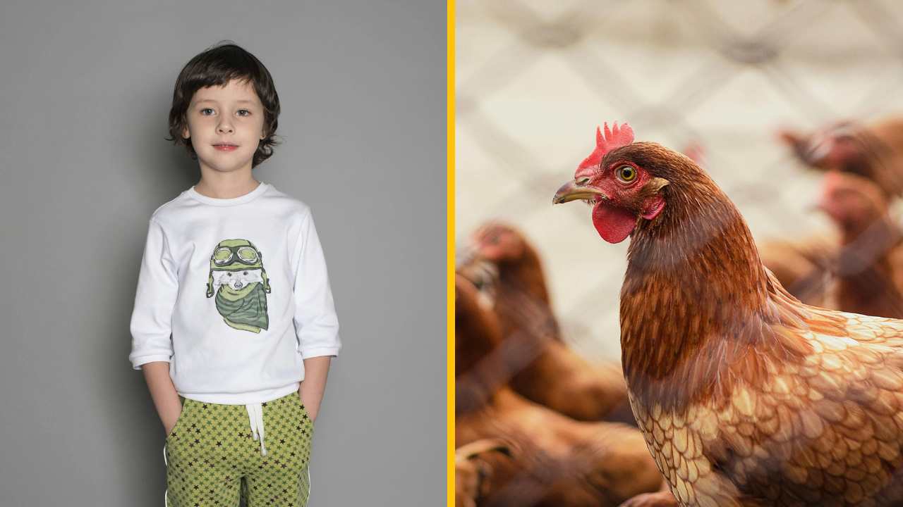 Príbeh o tom, ako sa z dieťaťa náhodou stal vegetarián. Výlet na farmársky trh skončil traumou