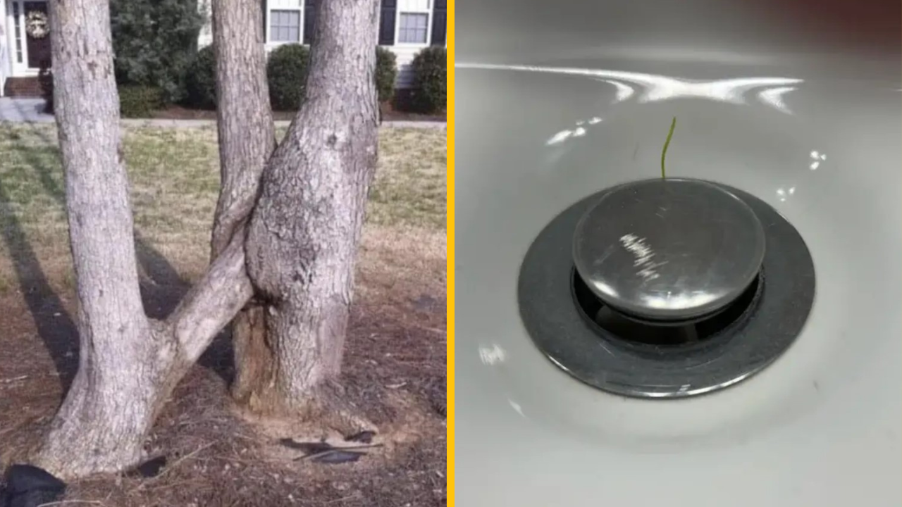 Týchto 12 ľudí sa náhle ocitlo v inej dimenzii