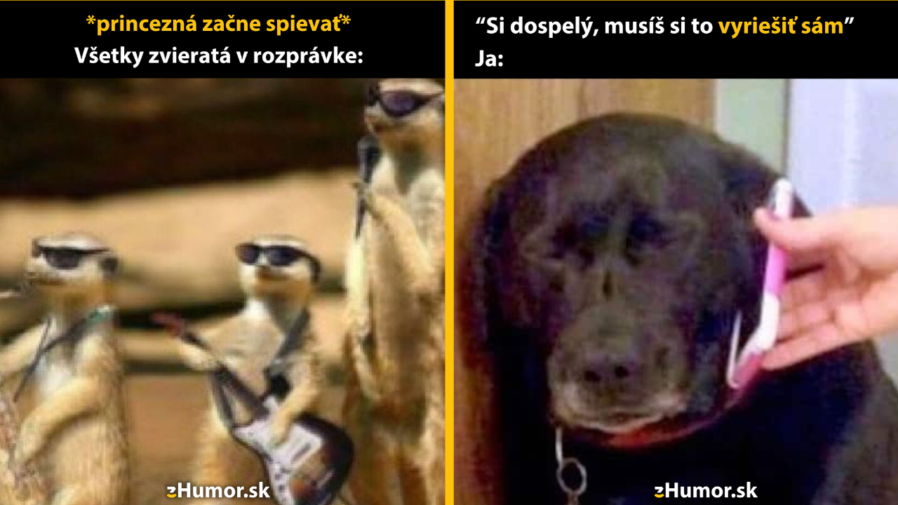 Zopár memečiek, ktoré vznikli, aby ti spríjemnili deň #1441: Nikdy som nevidel takú párty.