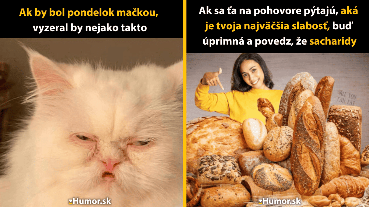 10 pracovných memečiek, vďaka ktorým sa v pondelok nebudeš cítiť tak zle