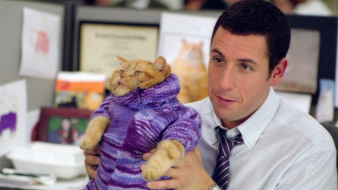 Existuje stránka pre ľudí, ktorí vyzerajú ako Adam Sandler. Sleduje ju viac ako 100-tisíc ľudí