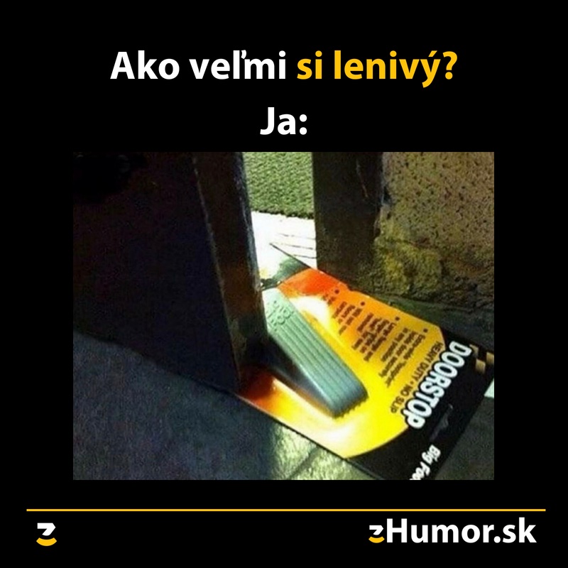 Lenivosť level expert