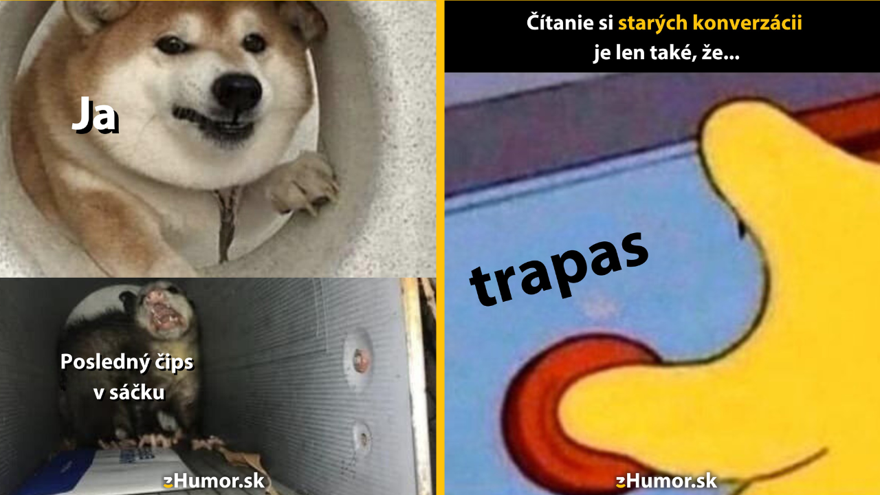 Zopár memečiek, ktoré vznikli, aby ti spríjemnili deň #1455: Len sa neboj, poď ku mne.