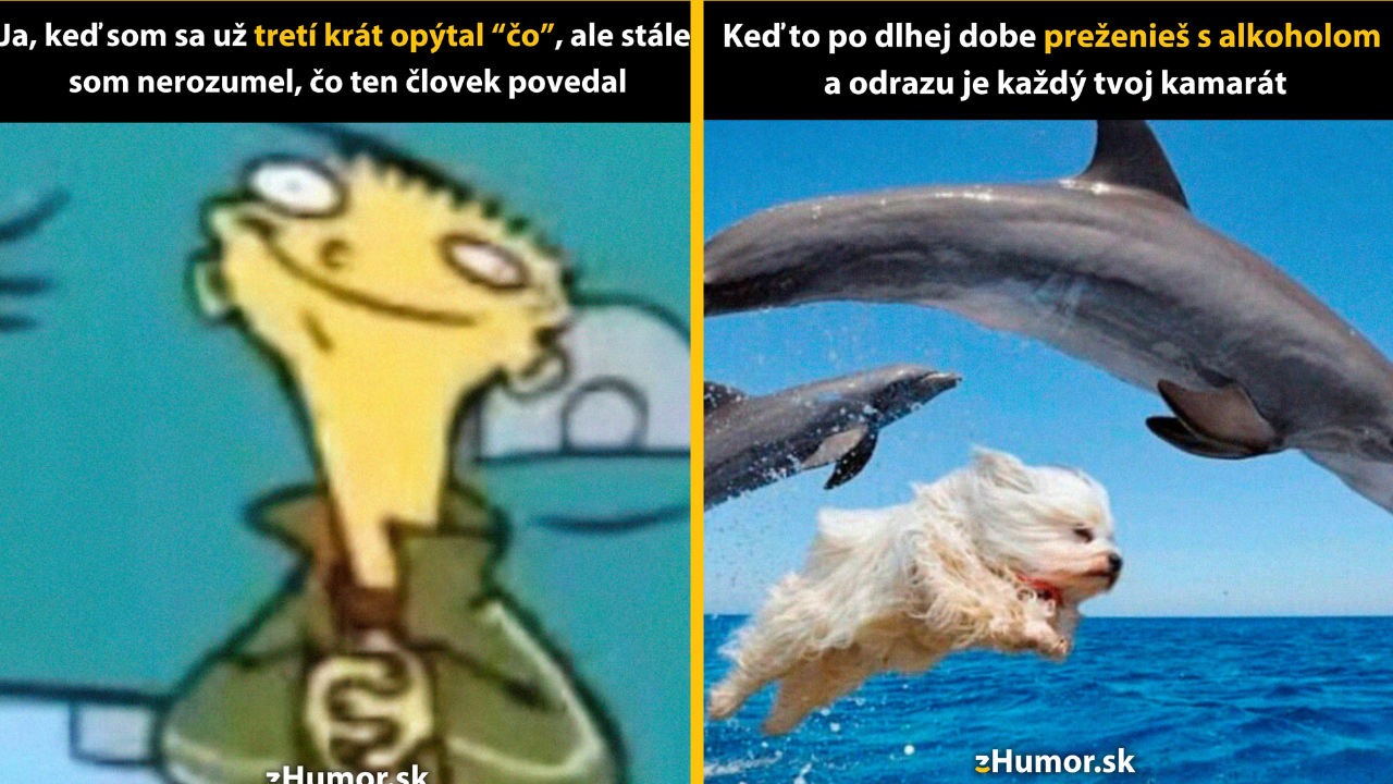 Zopár memečiek, ktoré vznikli, aby ti spríjemnili deň #1453: Len sa usmievať a prikyvovať.
