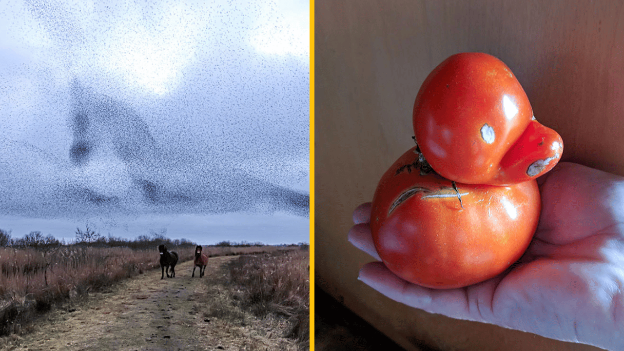 10 fotografií, ktoré ti precvičia mozog