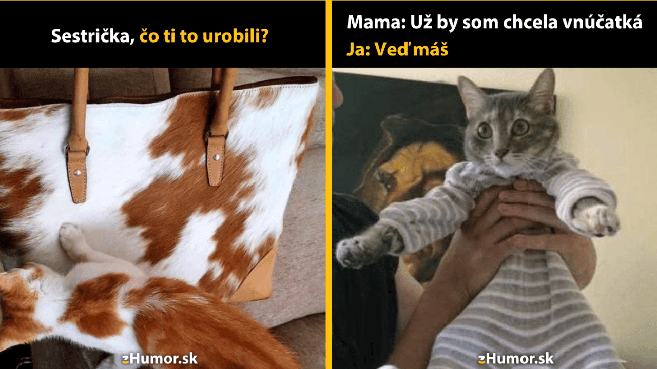 10 mačacích memečiek, ktoré ti rozjasnia deň