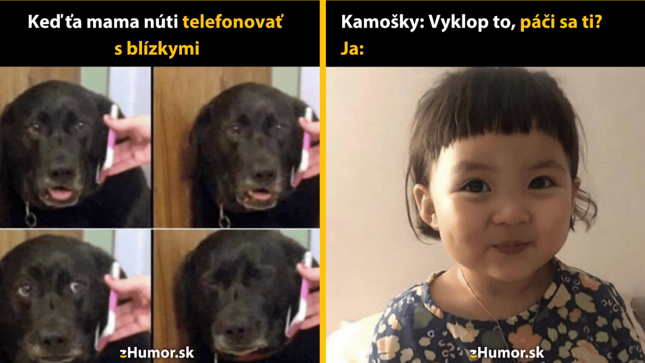 10 memečiek, ktoré ťa nachvíľu vytrhnú z reality
