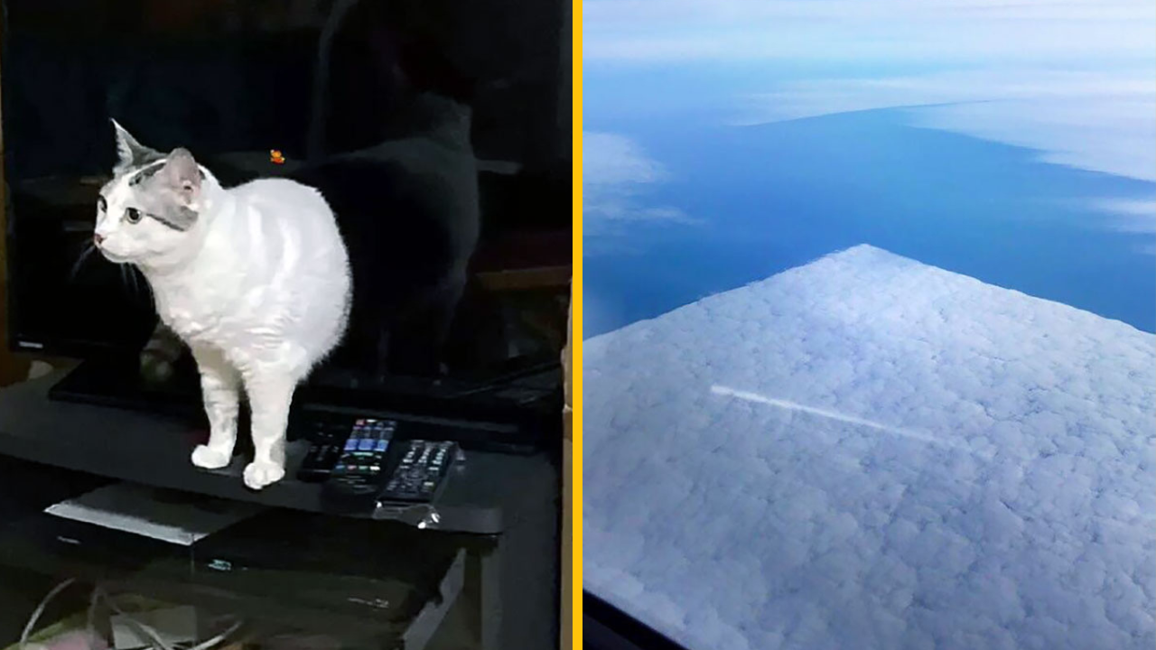 Keď uvidíte týchto 10 fotografií, nebudete veriť, že sú skutočné
