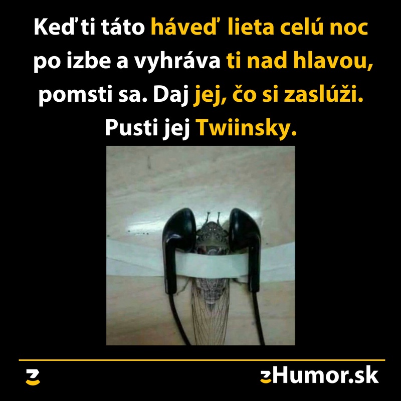 Ako sa pomstiť hávedi, ktorá otravuje celú noc