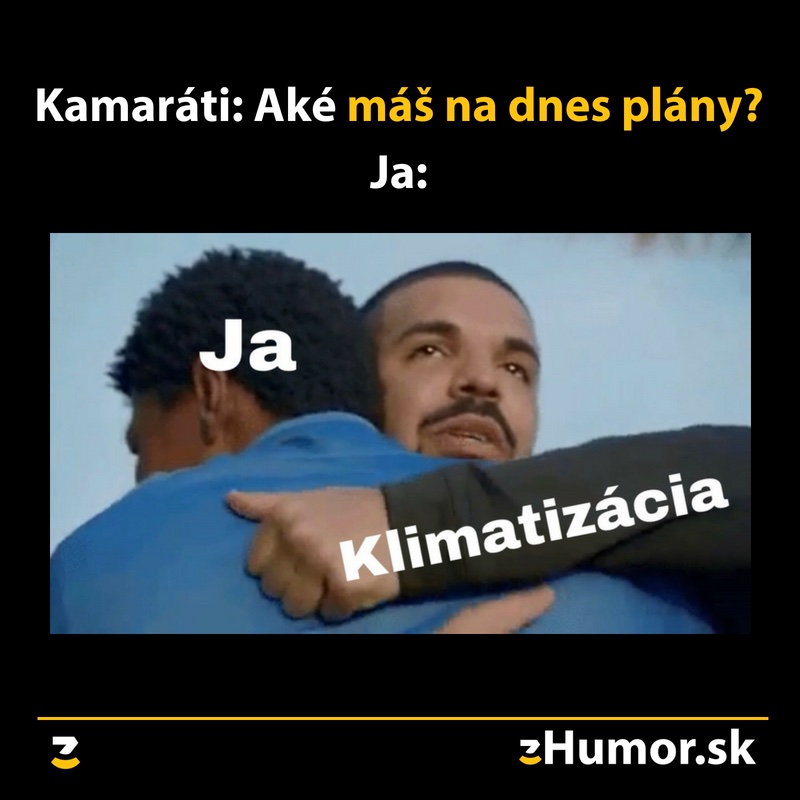 Plány na dnes