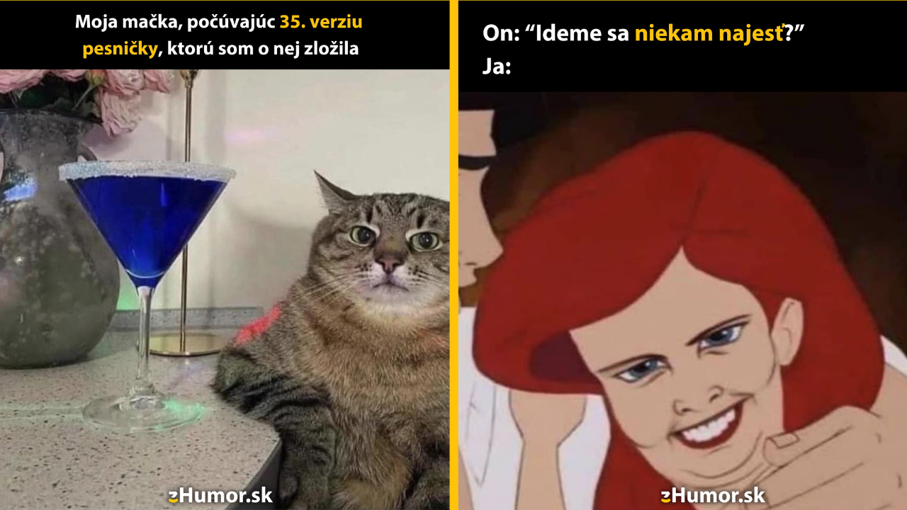 Zopár memečiek, ktoré vznikli, aby ti spríjemnili deň #1471: Ešte túto jednu ti zaspievam.