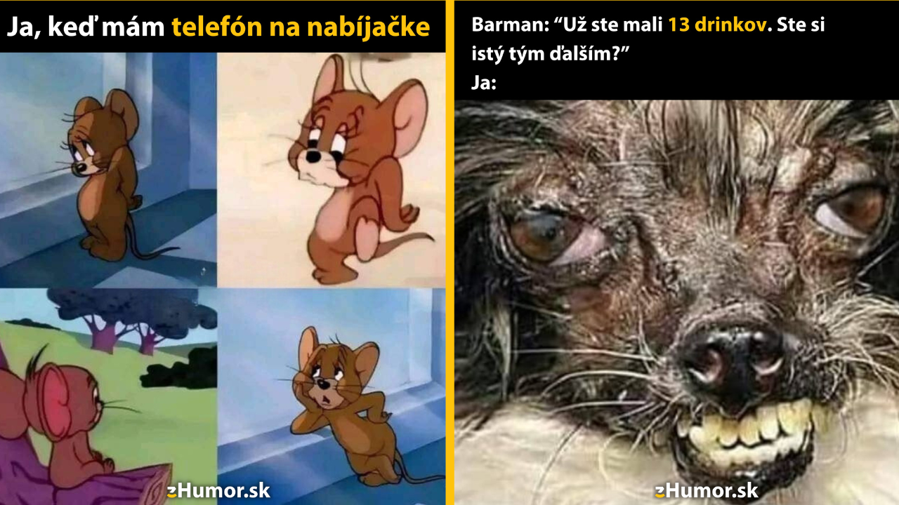 Zopár memečiek, ktoré vznikli, aby ti spríjemnili deň #1461: Čo si teraz len počnem?