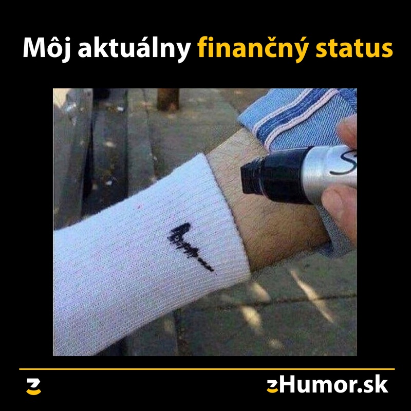 Môj aktuálny finančný status