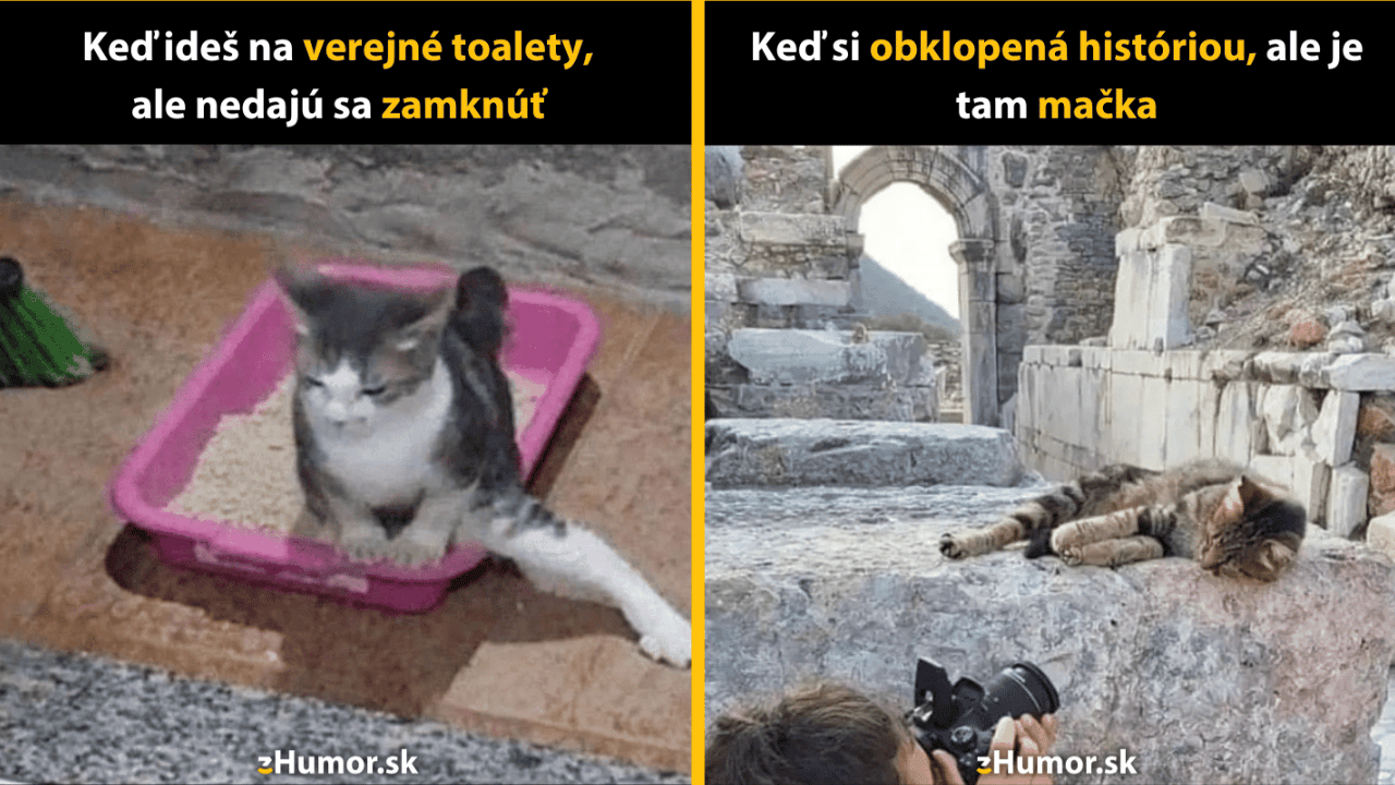10 mačacích memečiek, ktoré ťa naladia na víkend