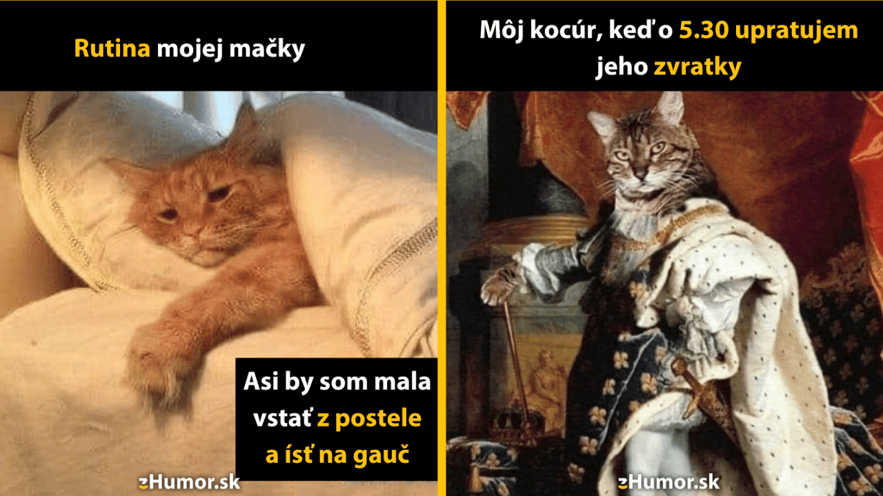 Pozri si týchto 10 memečiek pred prácou a uvidíš, ako ti naštartujú deň