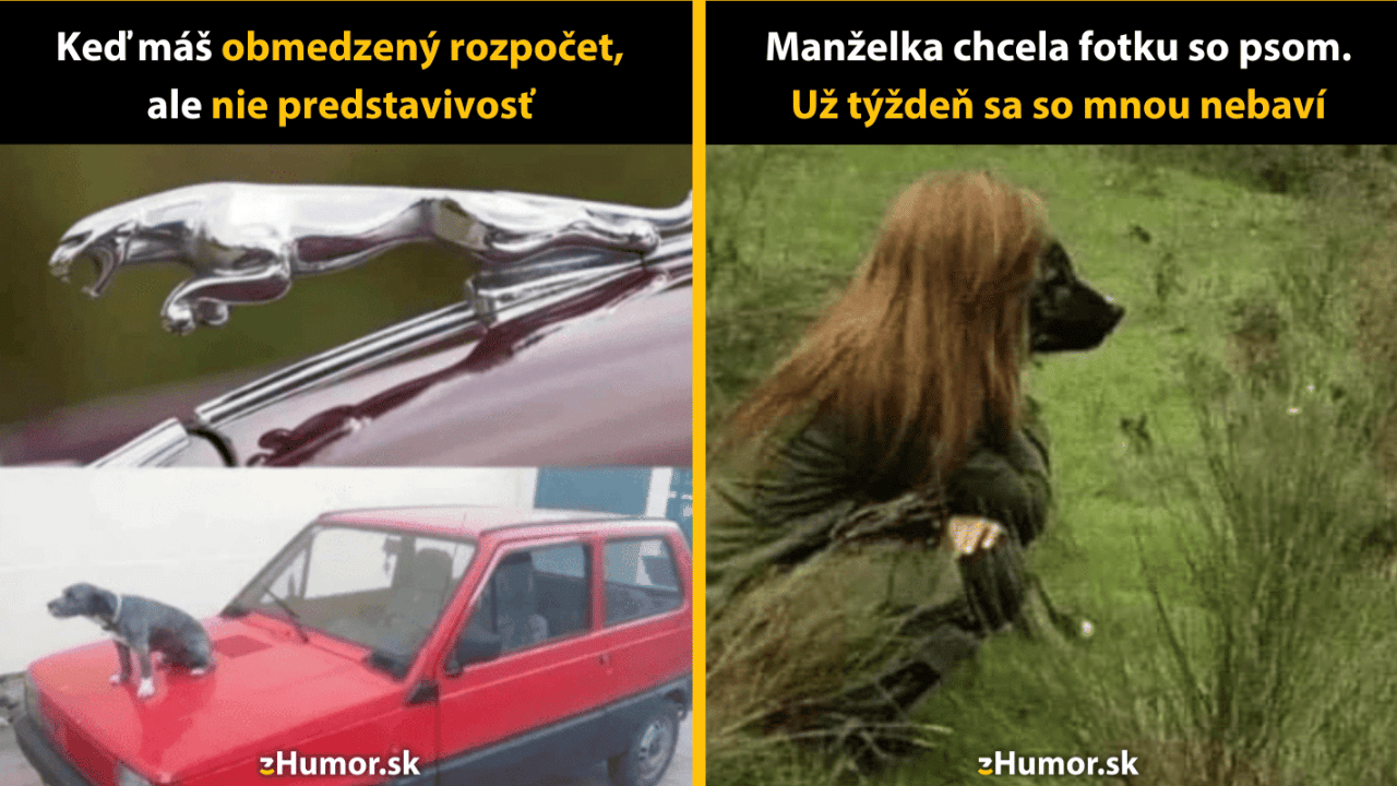Patríš k milovníkom psov? Potom sú dnešné memečka presne pre teba!