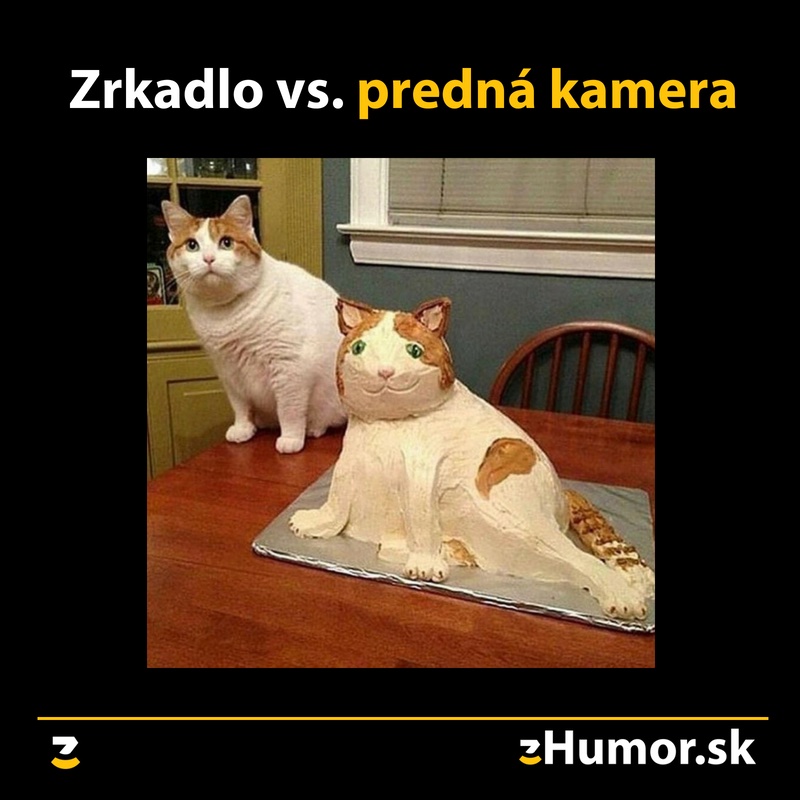 Zrkadlo vs. predná kamera