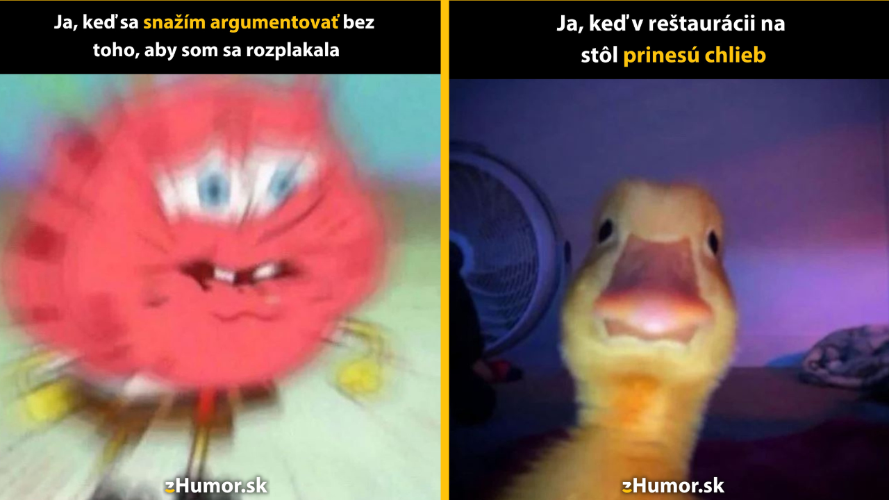 Zopár memečiek, ktoré vznikli, aby ti spríjemnili deň #1484: Hlavne sa nerozplakať, to dám.