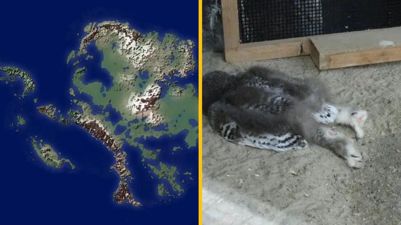 10 mimoriadne zaujímavých fotiek, ktoré vám ukážu svet z inej perspektívy