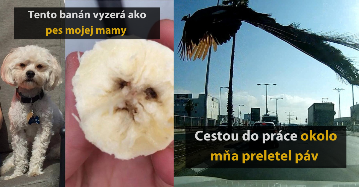 17 fotografií, kedy ľudia natrafili na vtipné ale aj zaujimavé náhody