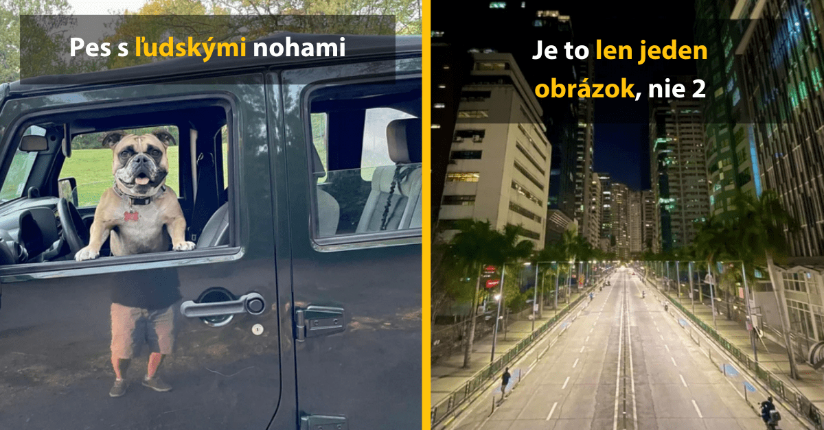 15 vtipných fotografií, ktoré vznikli úplnou náhodou ale o to viac vás pobavia