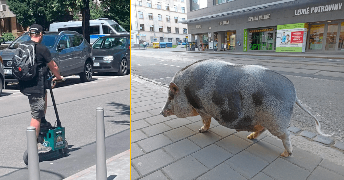 10+ vtipných fotografií zo života v Brne, ktoré ľudia zbierajú vo facebookovej skupine