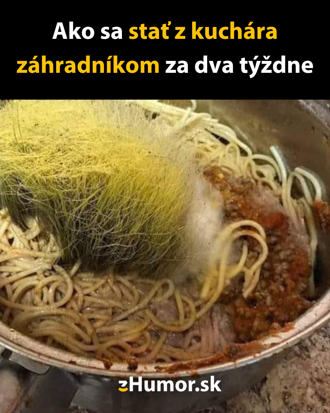 Zmena zamestnania
