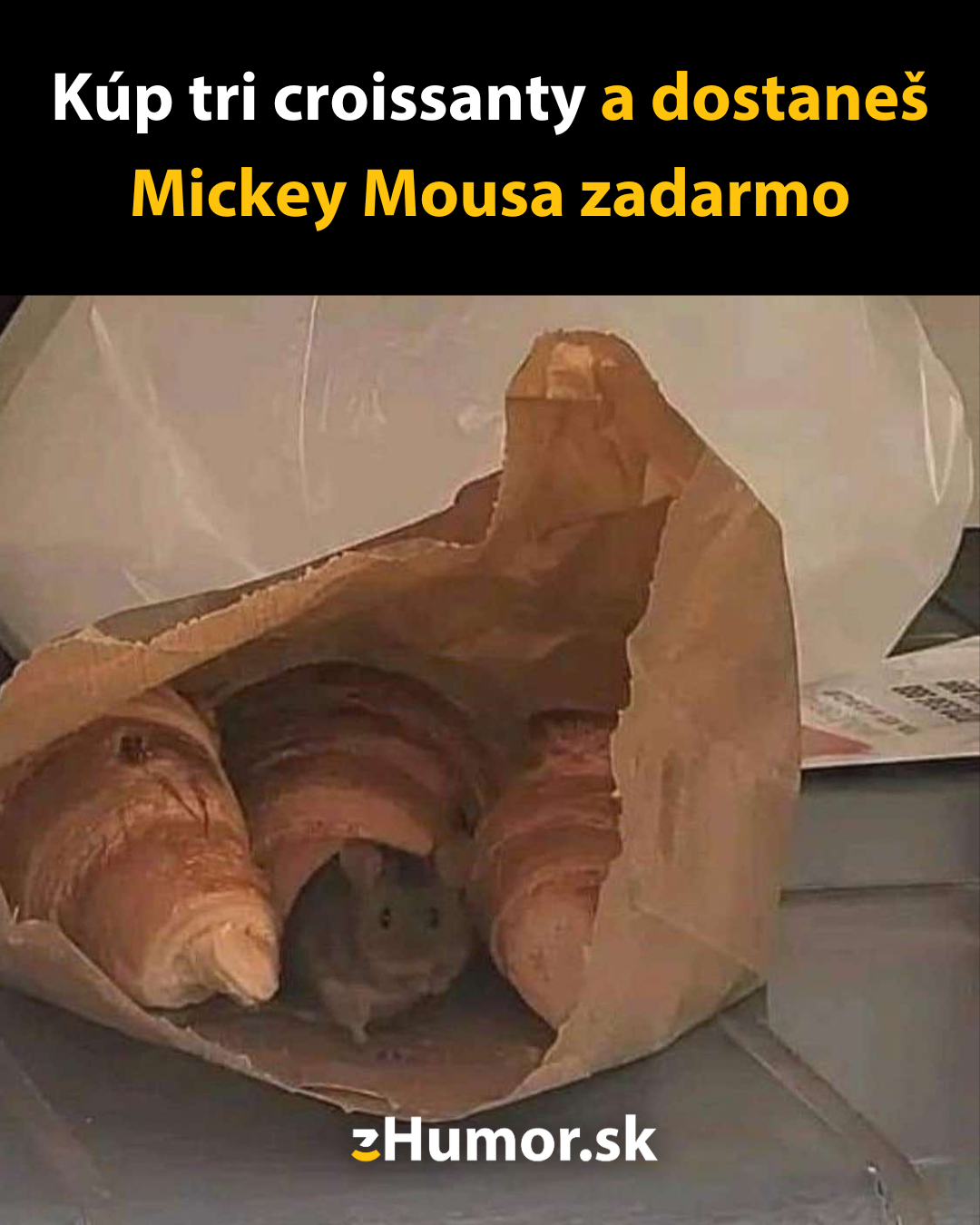 Darček k nákupu zdarma