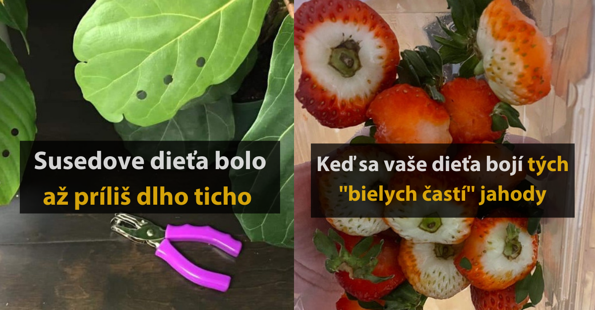 15 vtipných fotografií, kde si zahrali hlavnú úlohu deti v domácnosti