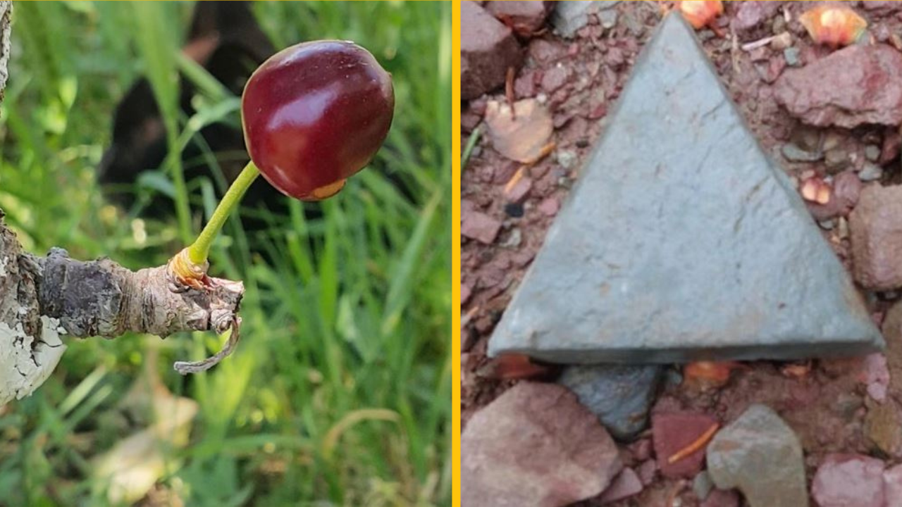Fotografie, ktoré dokazujú, že matka príroda je skutočným umelcom