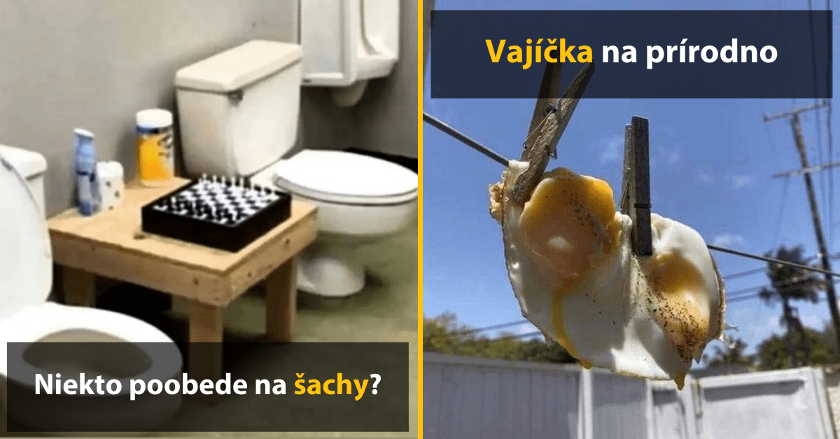 30+ Obrázkov, ktorými dokonale zabiješ čas #488 – Mačka s vtipným účesom ale aj Rihana hraje Xbox