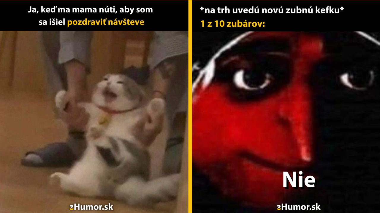 Zopár memečiek, ktoré vznikli, aby ti spríjemnili deň #1503: Už budem dobrý, len ma nechaj.