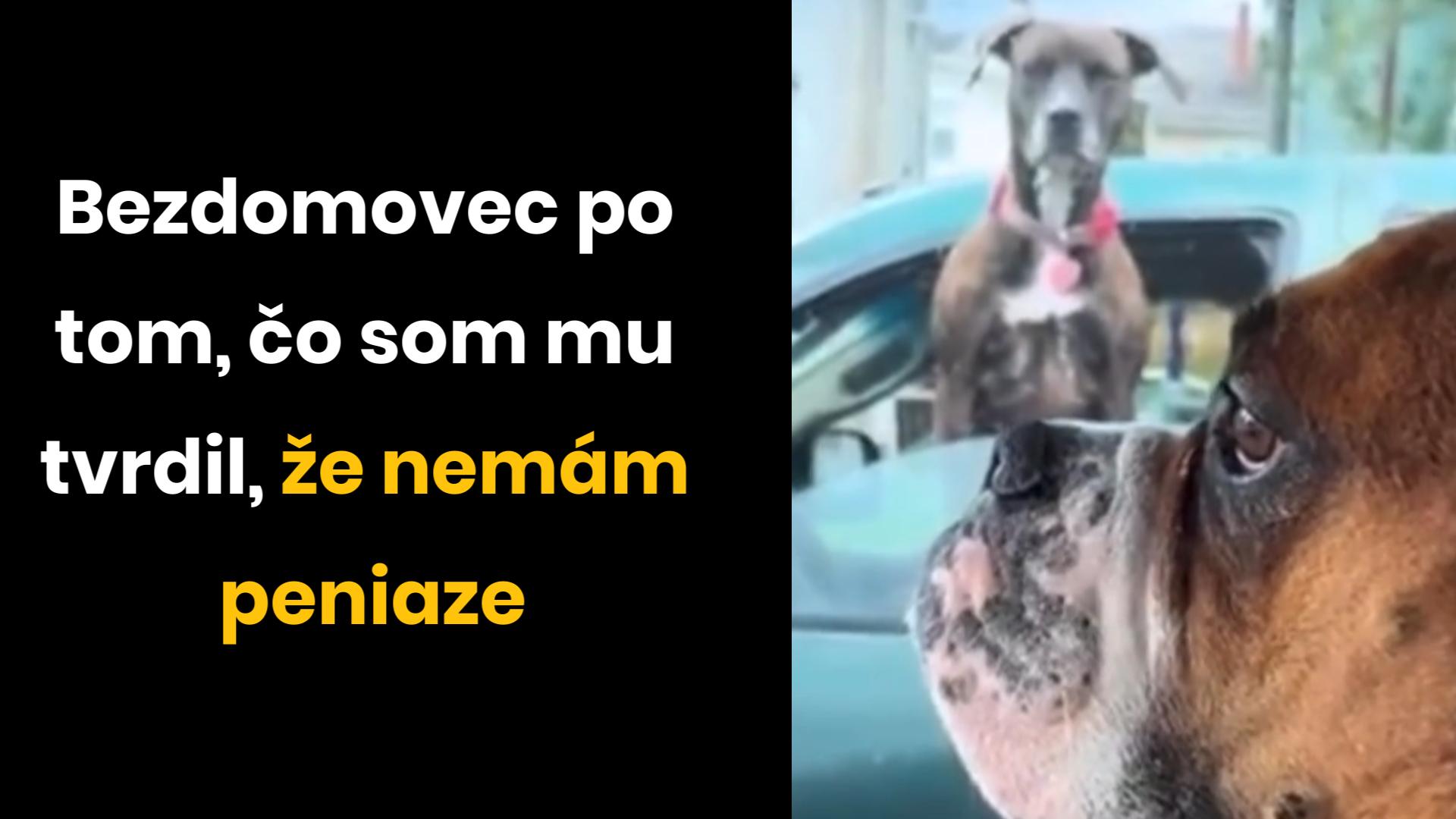 Bezdomovec vs ja s plným košíkom