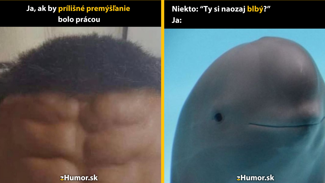 Zopár memečiek, ktoré vznikli, aby ti spríjemnili deň #1506: Veď ja na to nemyslím. Iba trochu.