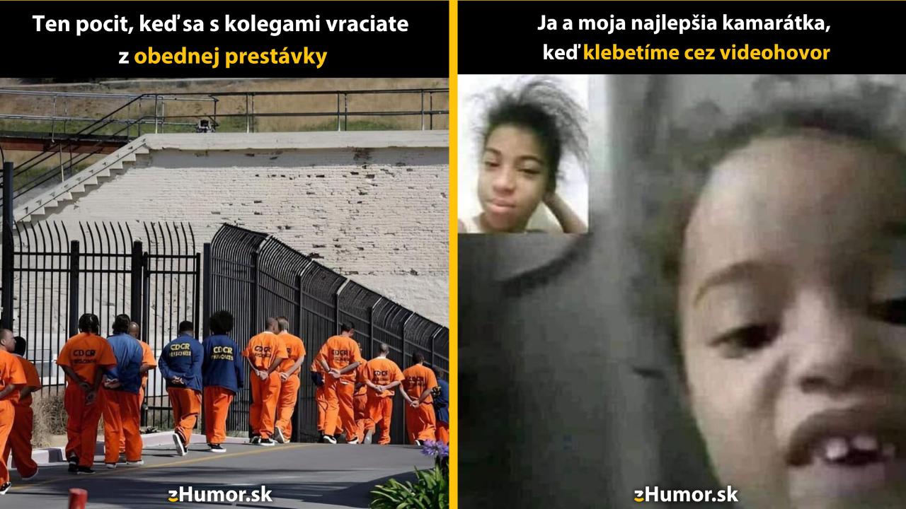 Zopár memečiek, ktoré vznikli, aby ti spríjemnili deň #1499: A naozaj musíme ísť naspäť?