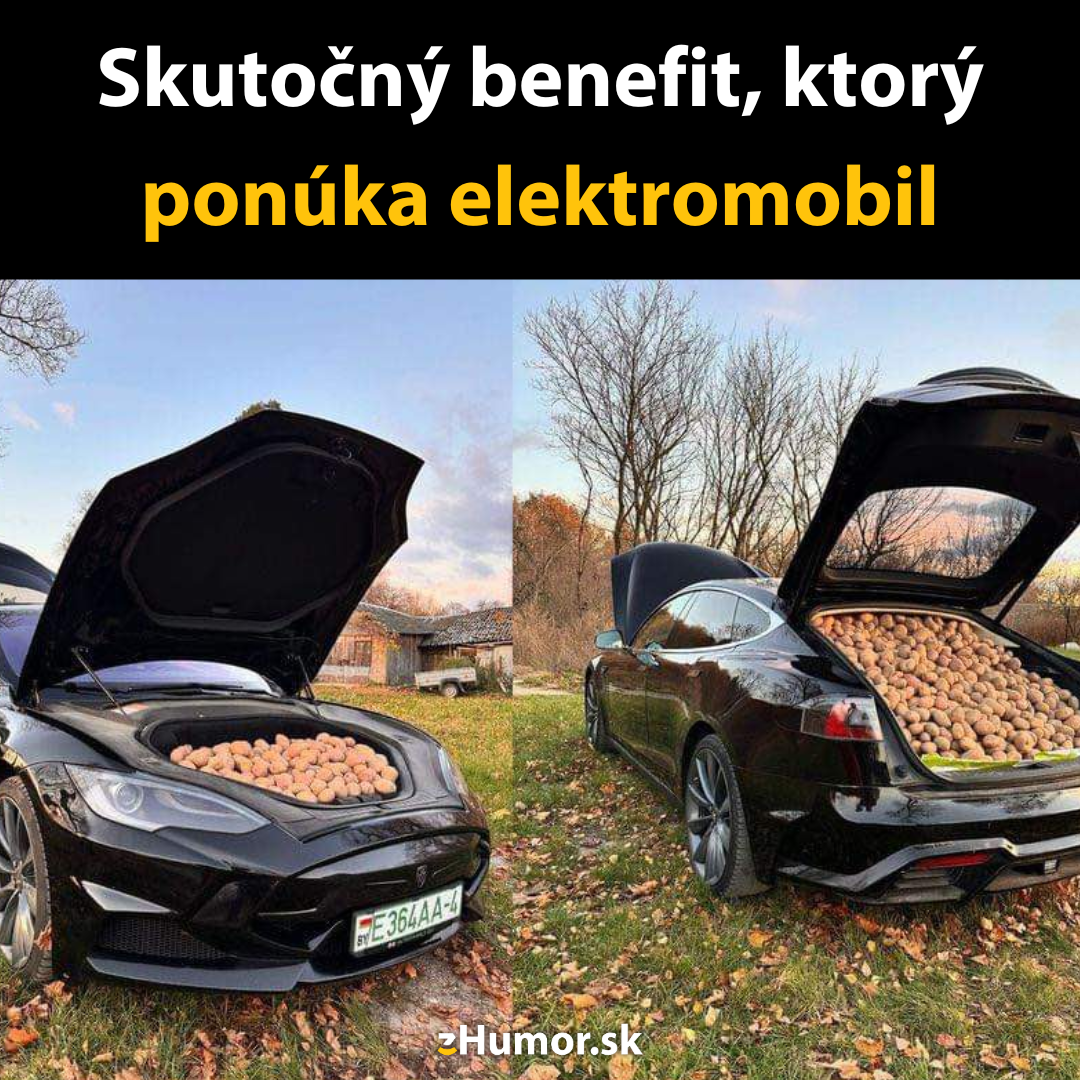 Keď si Slovák kúpi elektromobil