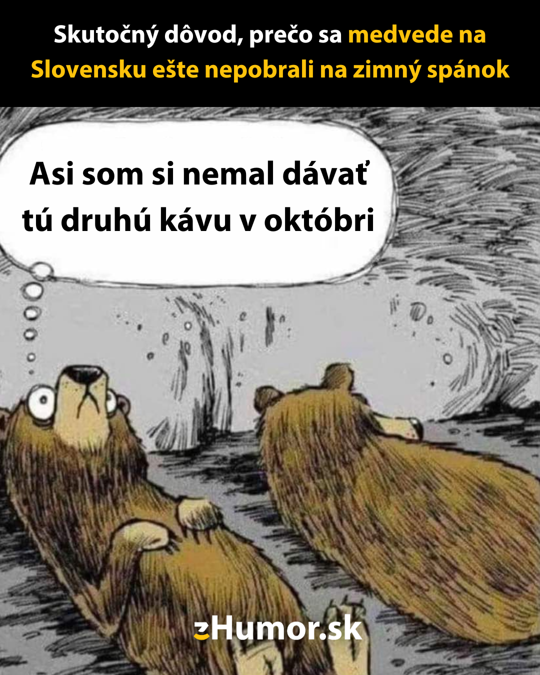 Prečo slovenské medvede ešte nespia?