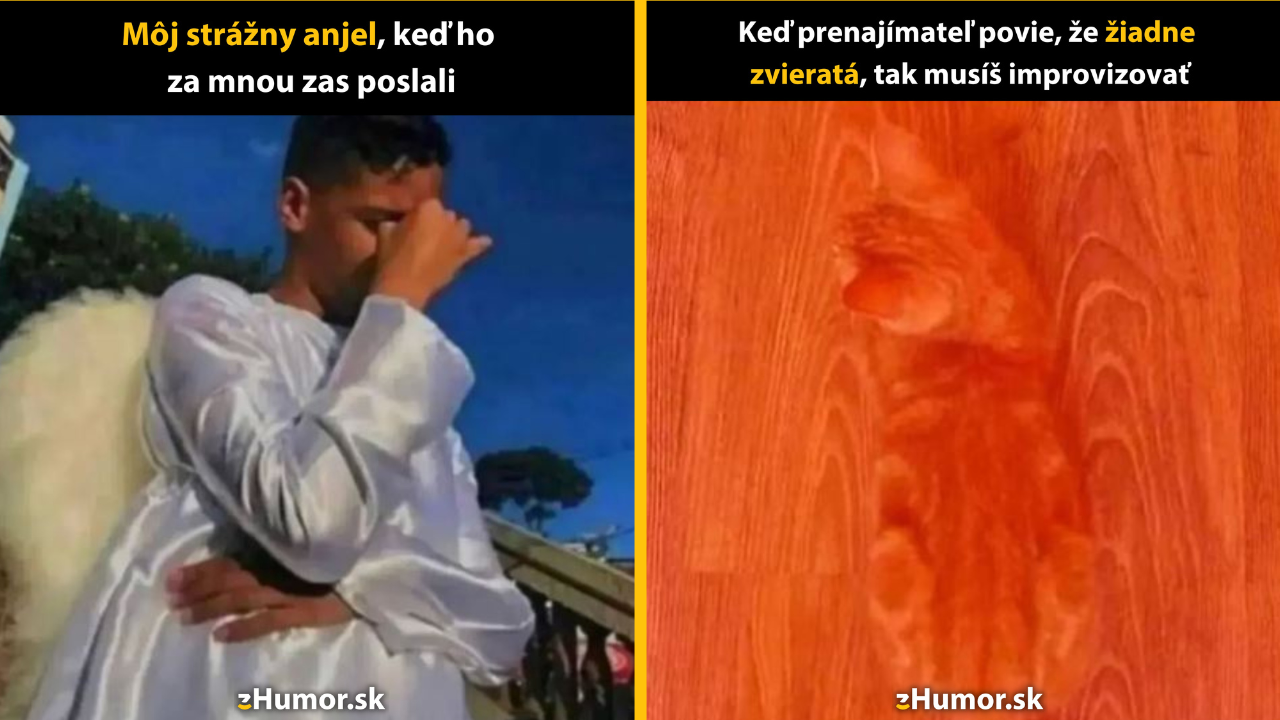 Zopár memečiek, ktoré vznikli, aby ti spríjemnili deň #1519: Poučím sa ja vôbec niekedy?