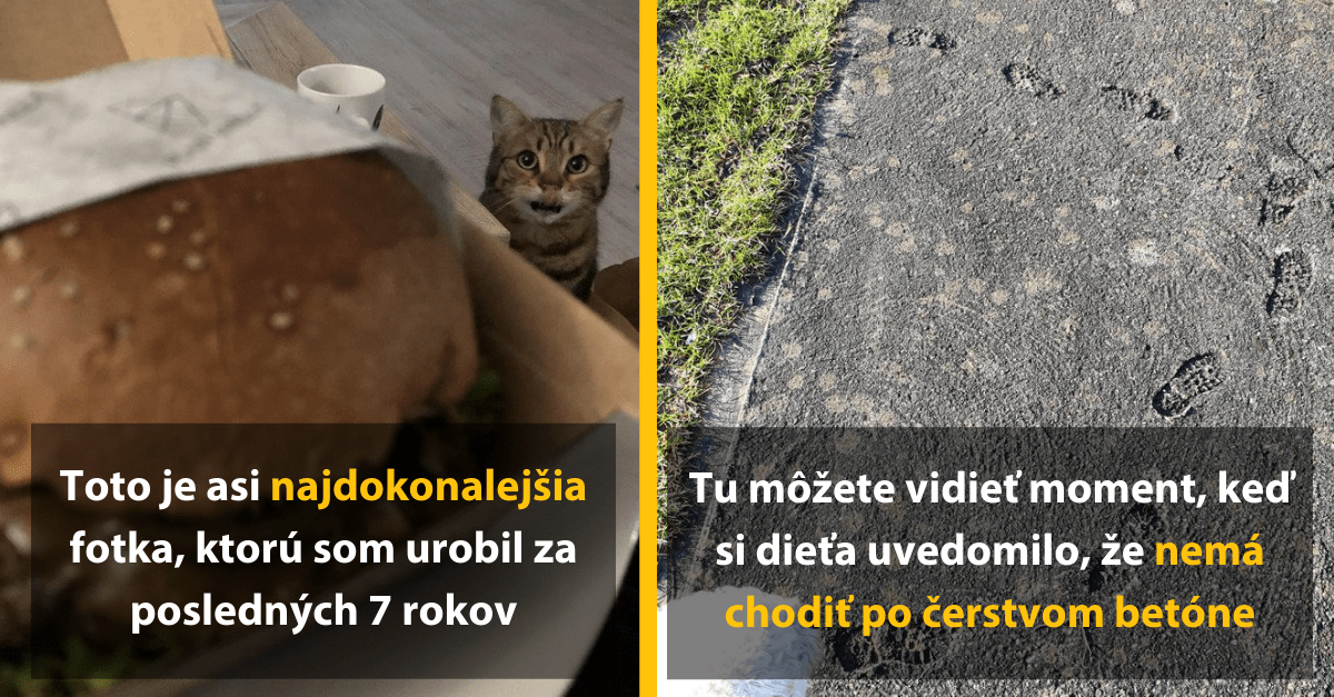 15 skvelých obrázkov, kedy činy a fotografie hovria samé za seba