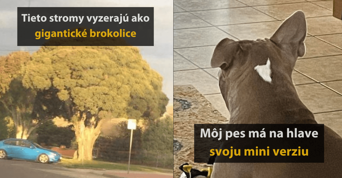 15 jedinečných fotografií, ktoré neuvidíte každý deň
