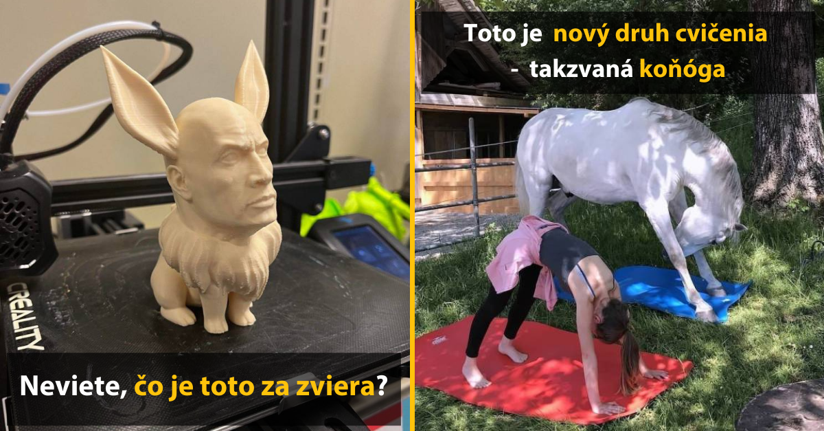 30+ Obrázkov, ktorými dokonale zabiješ čas #499 – Obrovský prsteň ale aj veľmi zvláštna gitara