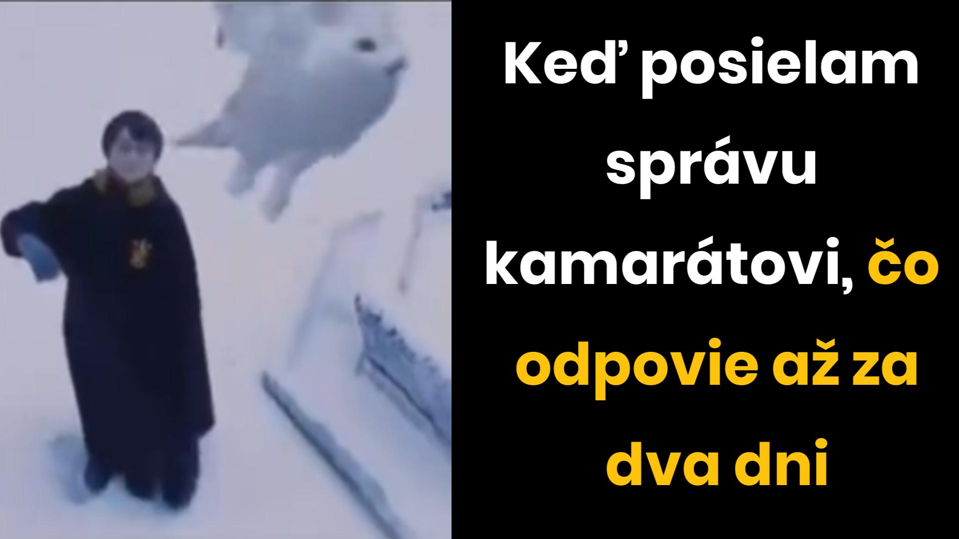 Nabudúce radšej pošlem sovu