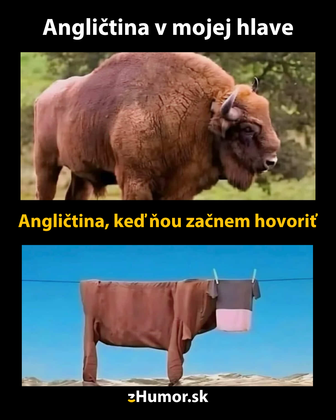 Moje znalosti angličtiny