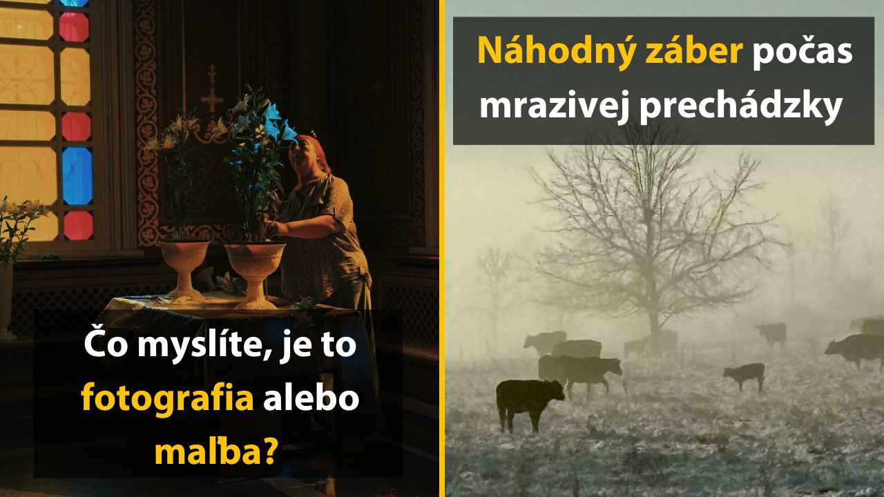 15 fotografií, ktoré sú také pekné, že by mohli pokojne visieť v Louvri