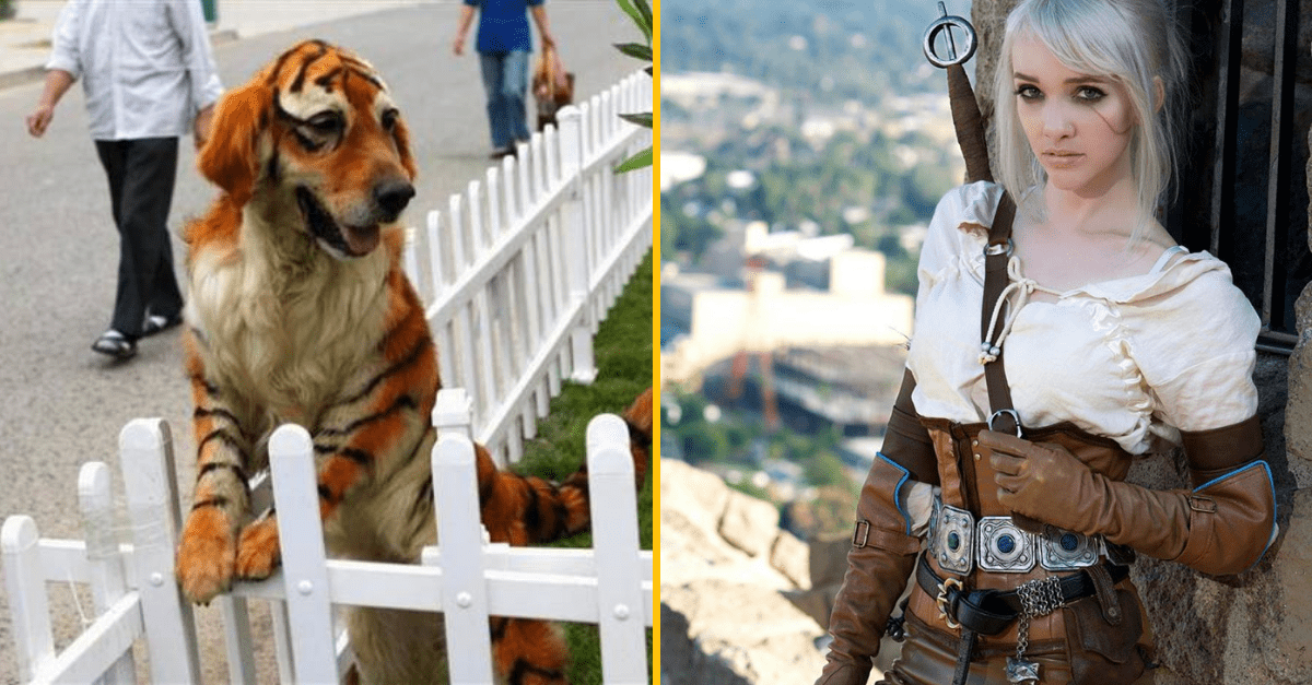 30+ Obrázkov, ktorými dokonale zabiješ čas #504 – Geniálne pouličné umenie, úzašné Cosplaye ale aj vtipné zvieratá