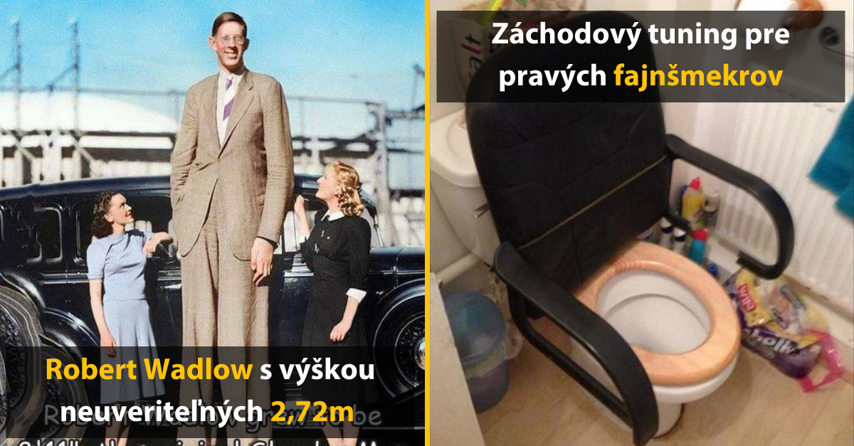 30+ Obrázkov, ktorými dokonale zabiješ čas #508 – Pes u veterinárky a až príliš pohodlný záchod