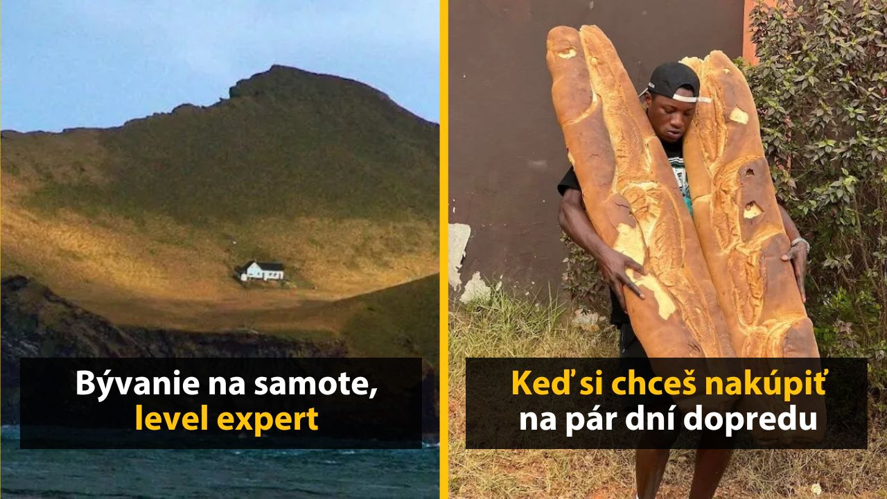 30+ Obrázkov, ktorými dokonale zabiješ čas #527 – Simpsonovci trochu inak alebo bývanie na samote, level expert